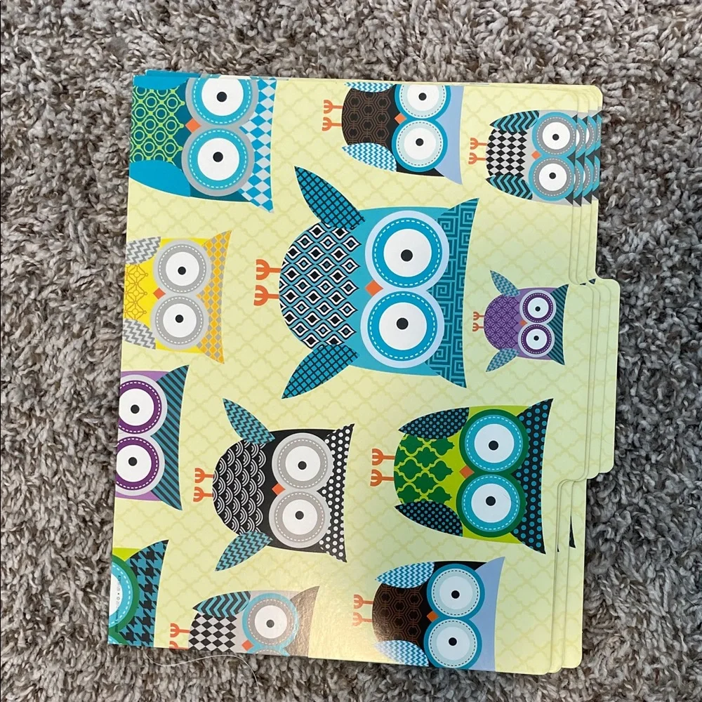 12 Colorful Owl Patterned Folders